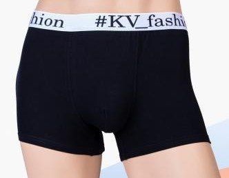 Fashion men's briefs (black) zk