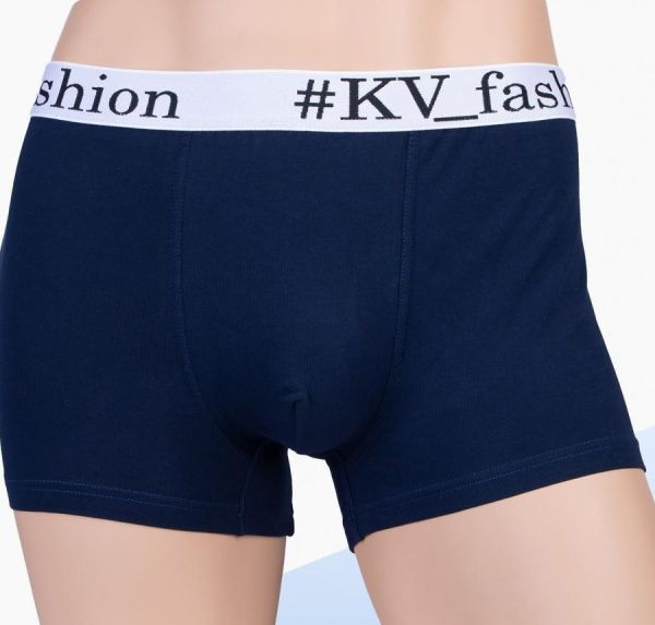 Fashion men's briefs (blue) zk