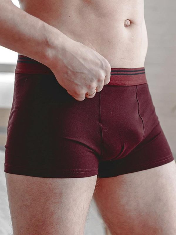 Men's briefs Rolden (burgundy) zk