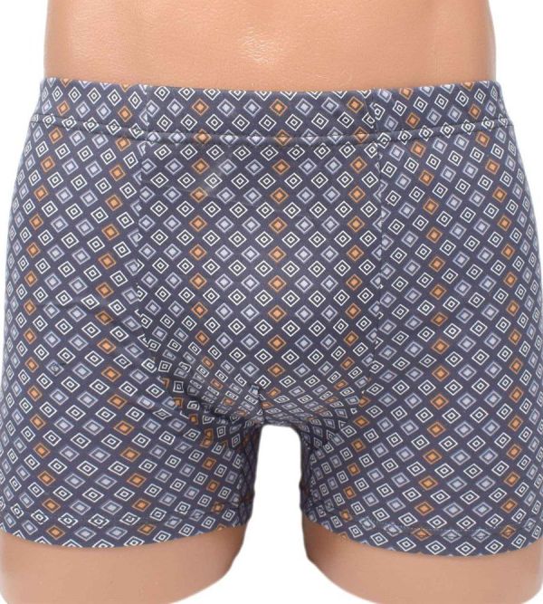 Men's briefs Larry (in assortment) zk