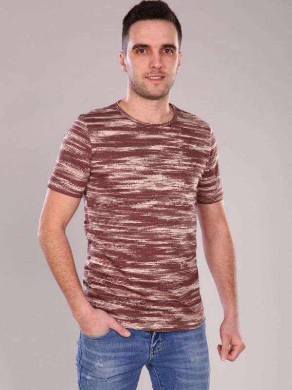 Men's T-shirt Liam (brown) pp