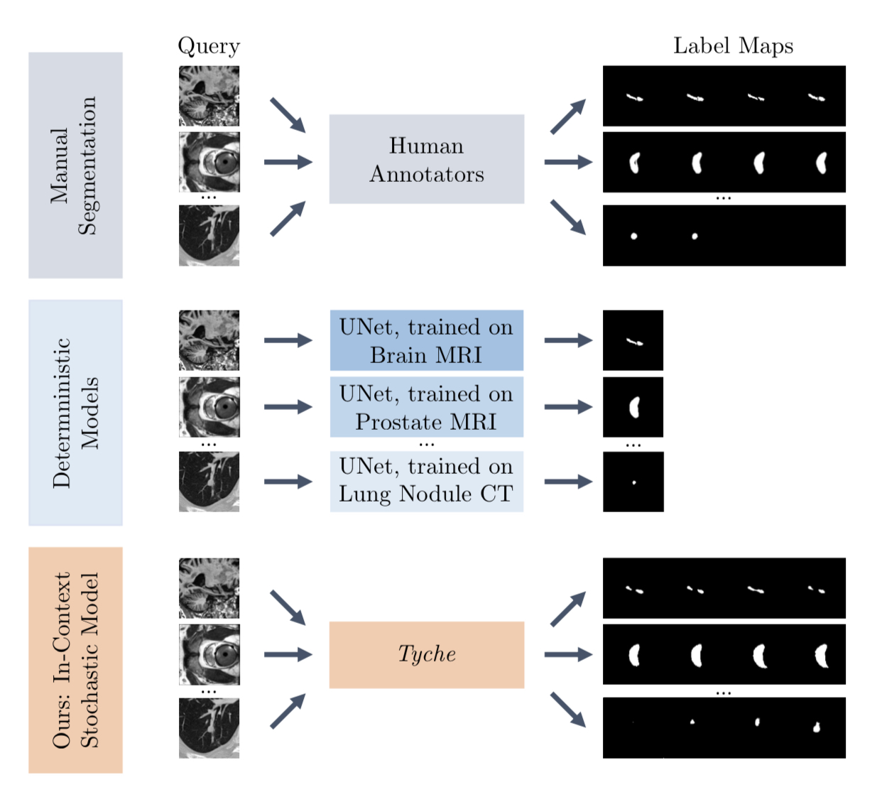 Scientists have created an AI model for analyzing medical images